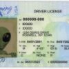 Wyoming Fake ID