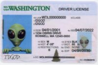 Washington Fake ID