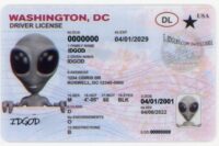 Washington DC Fake ID