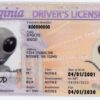 Virginia Fake ID