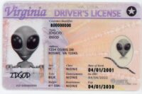 Virginia Fake ID