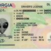 Georgia Fake ID