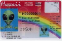Hawaii Fake ID
