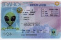 Idaho Fake ID