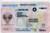 Kentucky Fake ID