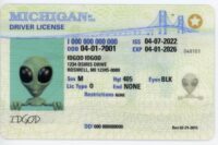 Michigan Fake ID