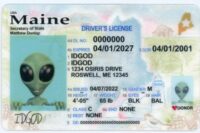 Maine Fake ID