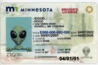 Minnesota Fake ID