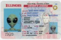 Illinois Fake ID