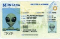 Montana Fake ID