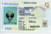 Nevada Fake ID