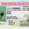 New Mexico Fake ID