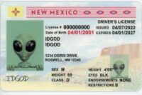 New Mexico Fake ID