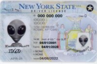 New York Fake ID