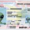 North Carolina Fake ID