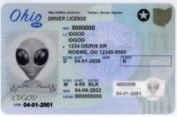 Ohio Fake ID
