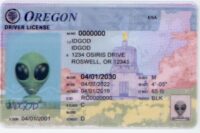 Oregon Fake ID