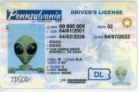 Pennsylvania Fake ID