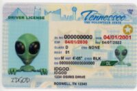 Tennessee Fake ID