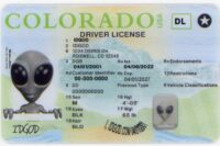 Colorado Fake ID